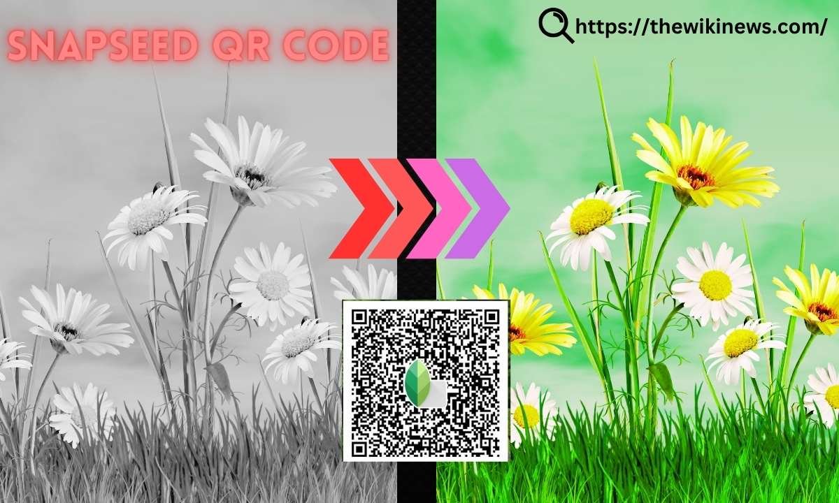 Snapseed QR Code