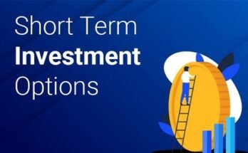 What is a Short-Term Investment Plan?